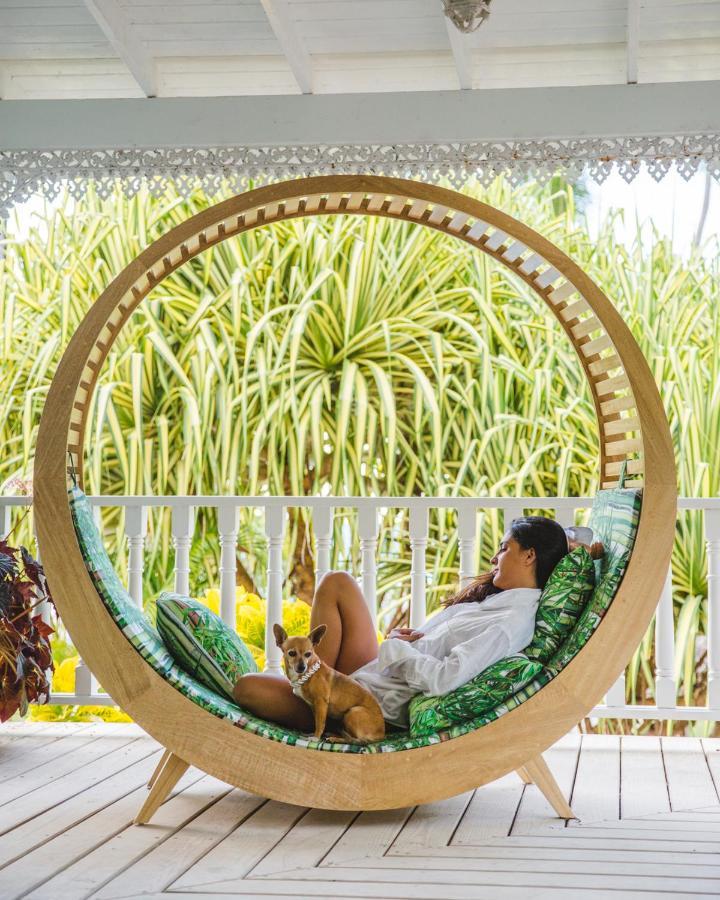 Hotel Casa Coson Las Terrenas Dış mekan fotoğraf